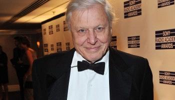 Click to view details and reviews for Sir David Attenborough.