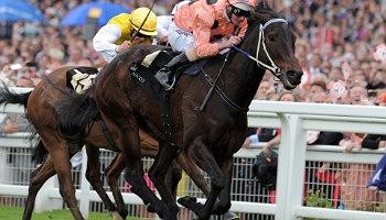 Click to view details and reviews for Ascot.